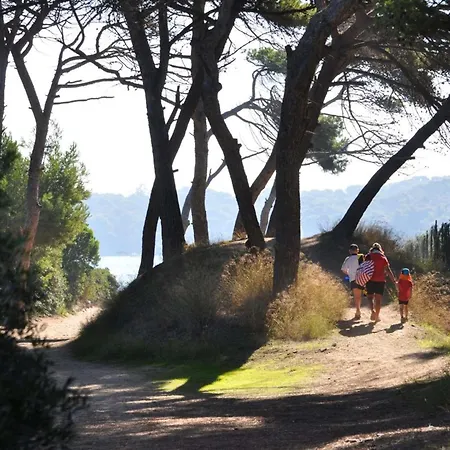 La Tancade, Pour 8 Personnes Avec Vue A 5 Minutes De La De L'almanarre A 别墅 耶尔